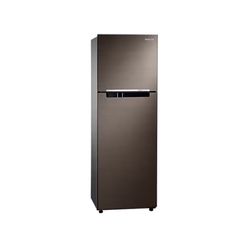 Samsung 275 Liters Mono Cooling with Digital Inverter Technology Non-Frost Refrigerator (RT29HAR9DBS/D3)