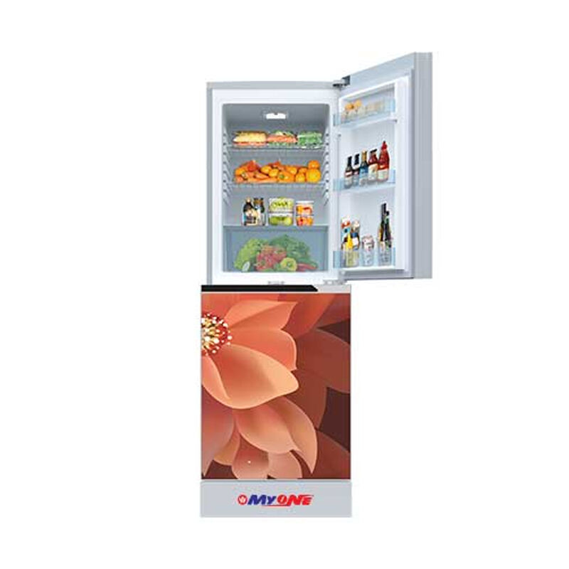 MyOne 256L Two-Door Bottom Frost Refrigerator (MY-2E6G)