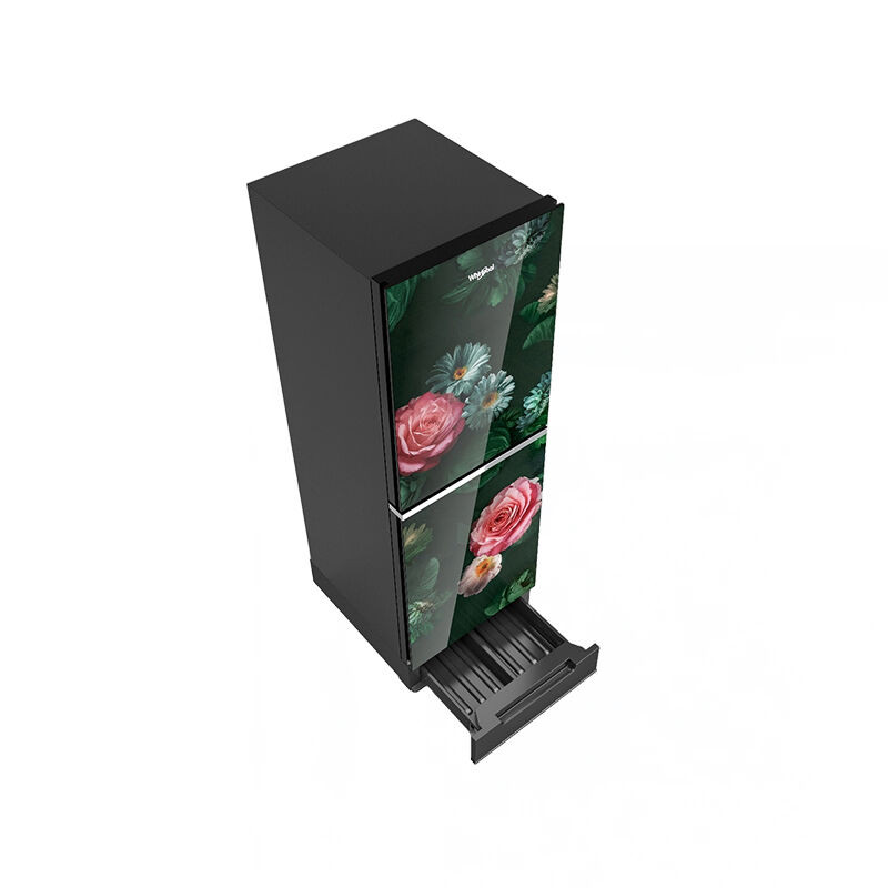 Whirlpool Fresh Magic Pro 236L Glass Door Refrigerator-Rosalia