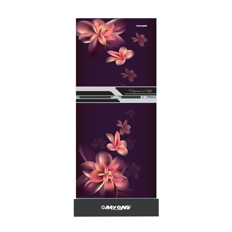 MyOne 165L Two Door Frost Refrigerator (MY-1F5G)