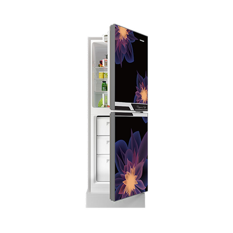 MyOne 256L Two-Door Bottom Frost Refrigerator (MY-2E6G)
