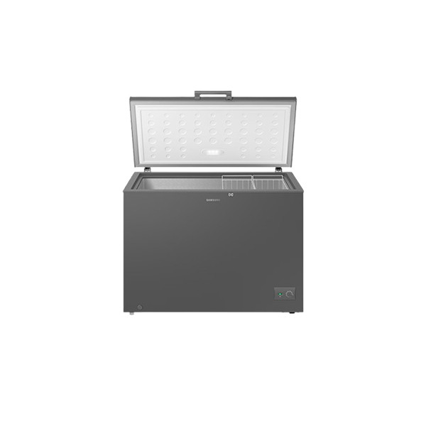 Samsung 198L Chest Freezer (RI70F20V1G/AGH)