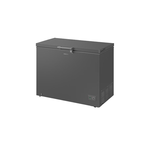 Samsung 198L Chest Freezer (RI70F20V1G/AGH)